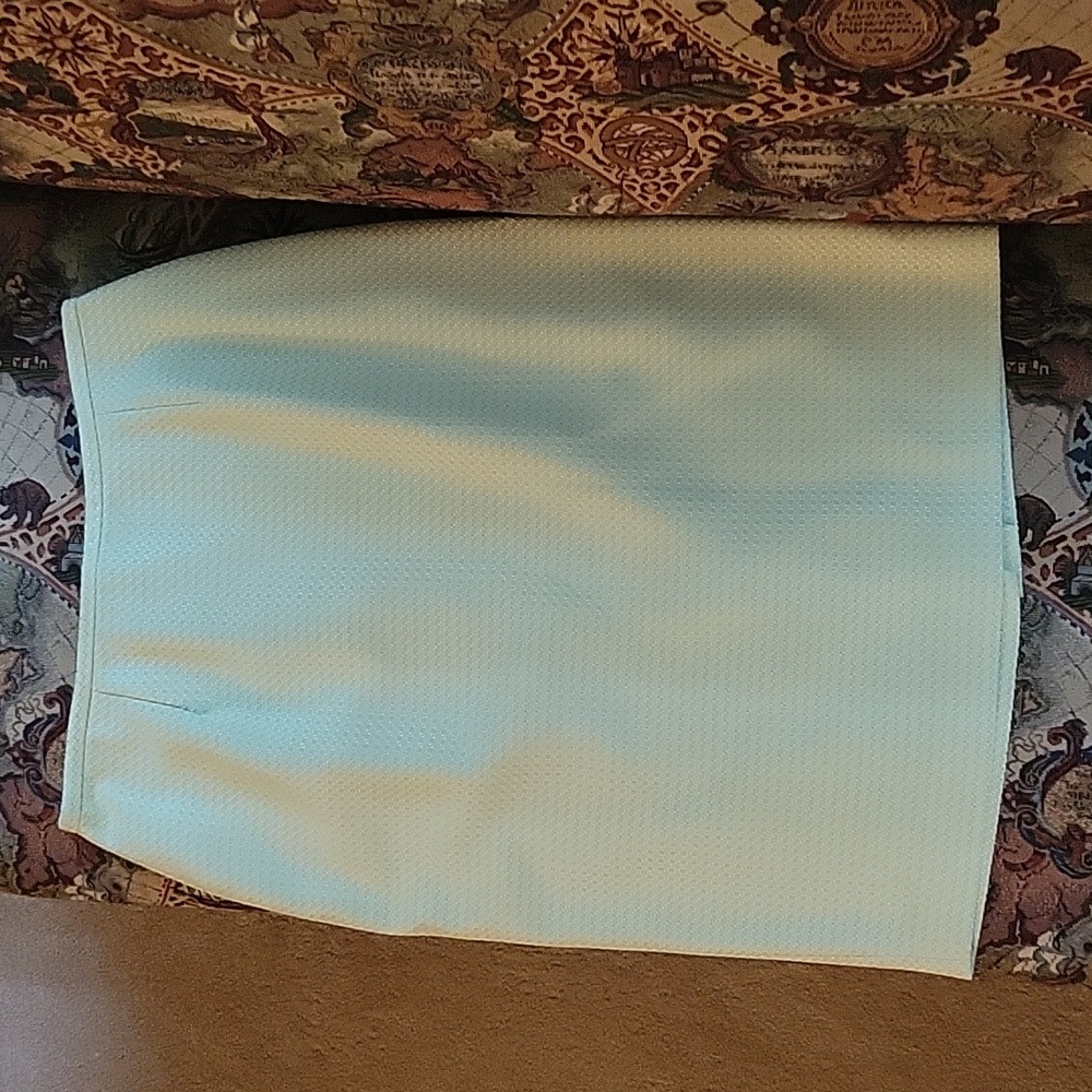 Talbots midi pencil skirt